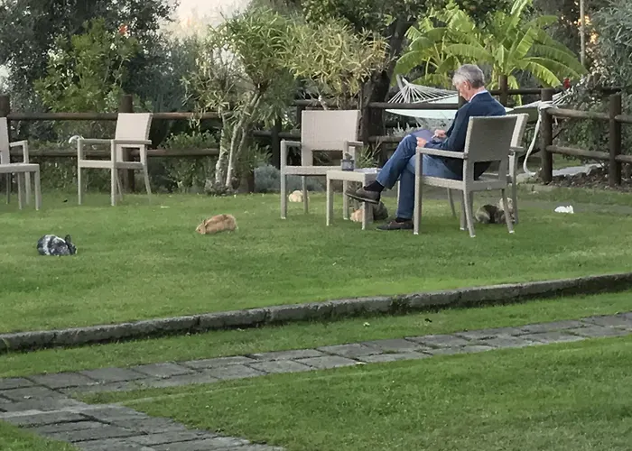 Casale Antonietta Oda ve Kahvaltı 4*